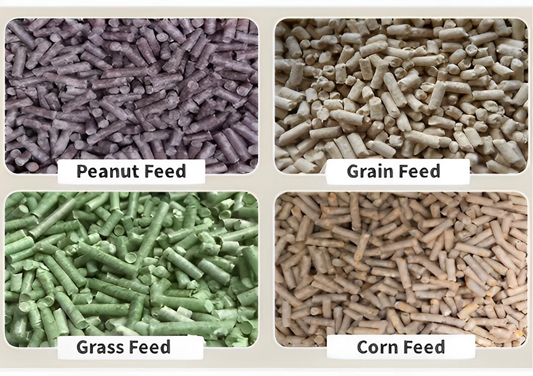 Poultry Equipment Cow Feed Pellet Machine Pellet Mill