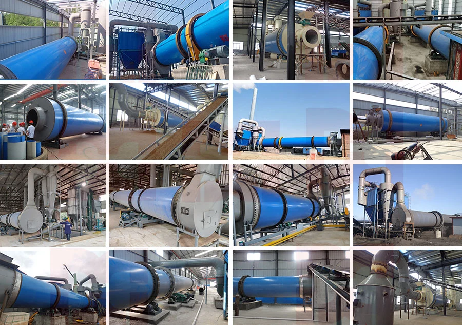 Poultry Waste Chicken Manure Cow Dung Pig Manure Drying Equipment Rotary Drum Dryer Price